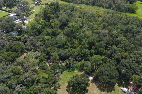 Land in Riverview, Florida № 1351145 - photo 23