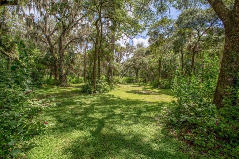 Terreno en venta en Riverview, Florida № 1351145 - foto 6