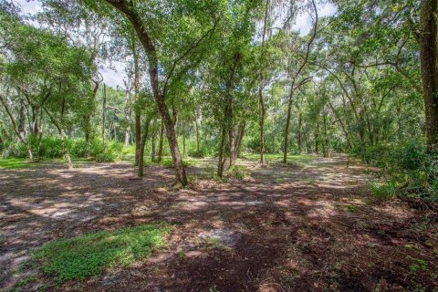 Terreno en venta en Riverview, Florida № 1351145 - foto 8