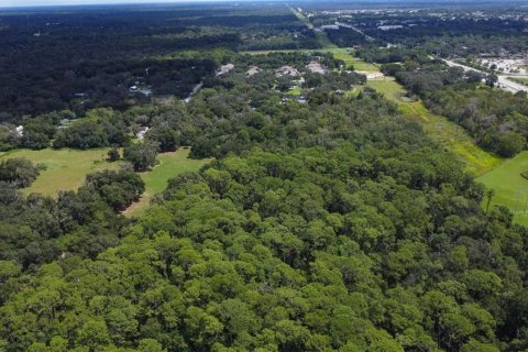 Terreno en venta en Riverview, Florida № 1351145 - foto 22