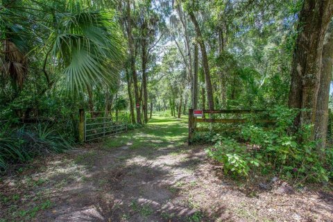 Terreno en venta en Riverview, Florida № 1351145 - foto 1