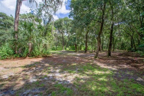 Terreno en venta en Riverview, Florida № 1351145 - foto 7