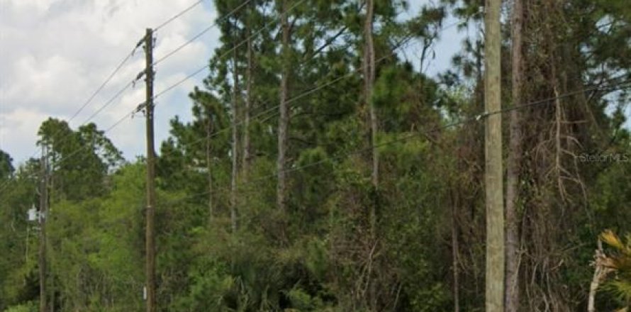 Terrain à Saint Augustine, Floride № 909129