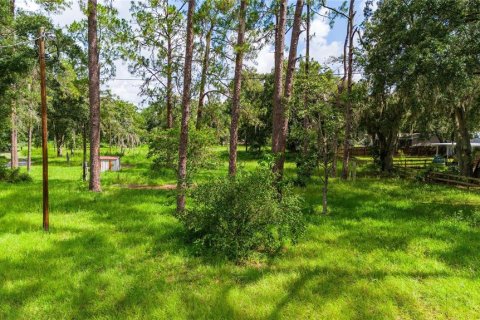 Land in Wesley Chapel, Florida № 1323732 - photo 3