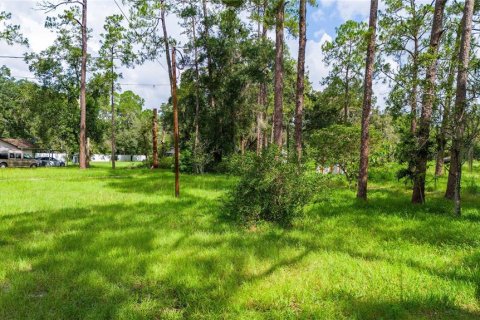 Land in Wesley Chapel, Florida № 1323732 - photo 2