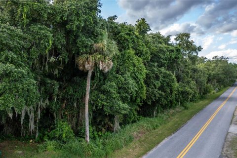 Land in Eustis, Florida № 1248165 - photo 14