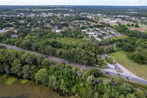 Land in Eustis, Florida № 1248165 - photo 7