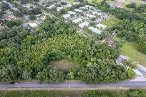 Land in Eustis, Florida № 1248165 - photo 10