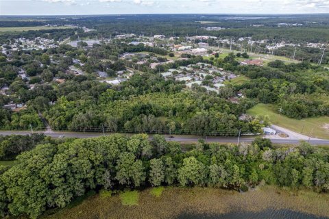 Terreno en venta en Eustis, Florida № 1248165 - foto 5