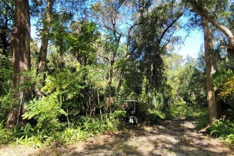 Terrain à vendre à DeLand, Floride № 1408203 - photo 6