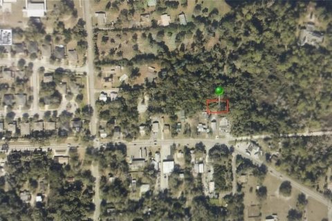 Land in DeLand, Florida № 1408203 - photo 1