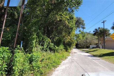 Terrain à vendre à DeLand, Floride № 1408203 - photo 3