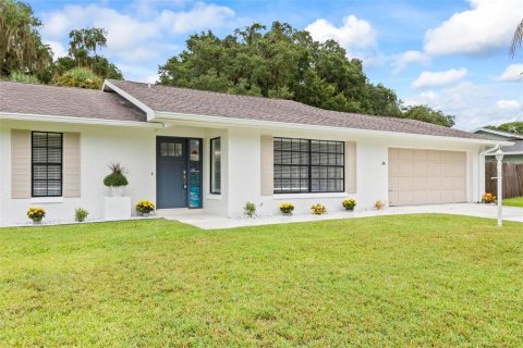 Villa ou maison à vendre à Palm Coast, Floride: 3 chambres, 154.12 m2 № 1353344 - photo 3