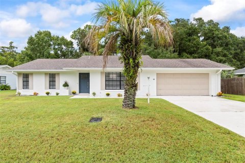 Villa ou maison à vendre à Palm Coast, Floride: 3 chambres, 154.12 m2 № 1353344 - photo 1