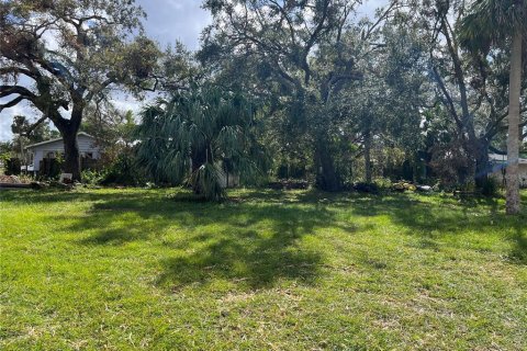 Terreno en venta en Sarasota, Florida № 1422879 - foto 8