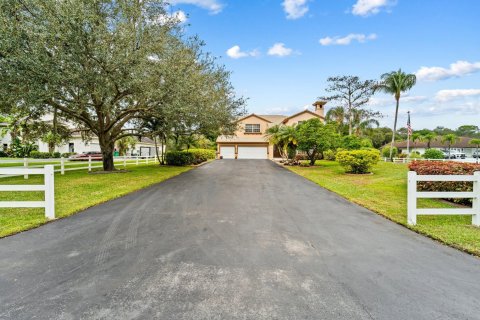 Villa ou maison à vendre à Parkland, Floride: 4 chambres, 324.69 m2 № 987384 - photo 4