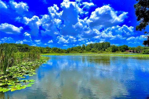 Condo in Tampa, Florida, 1 bedroom  № 1265614 - photo 18