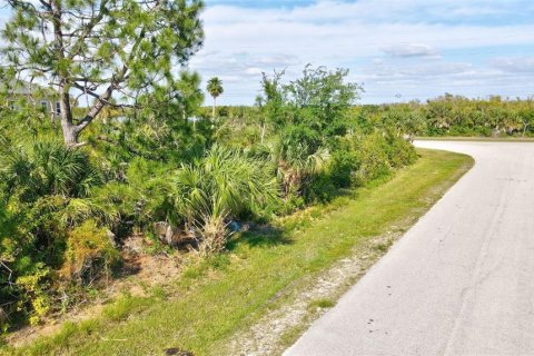 Land in Port Charlotte, Florida № 1105508 - photo 22