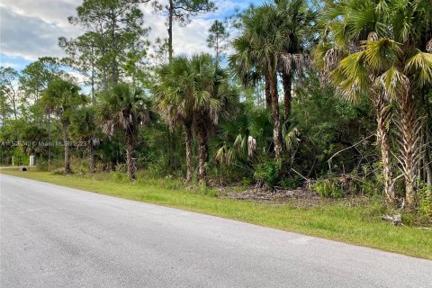 Land in Naples, Florida № 922112 - photo 5