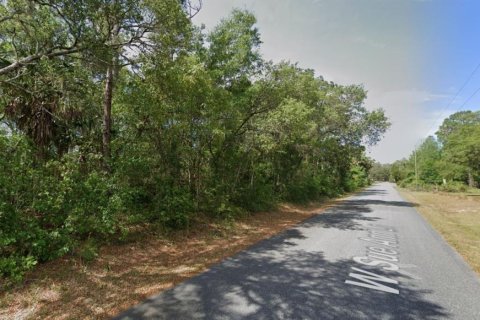 Terreno en venta en Homosassa, Florida № 1427089 - foto 5