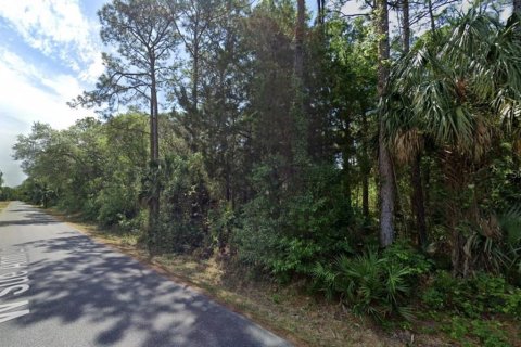 Terreno en venta en Homosassa, Florida № 1427089 - foto 6