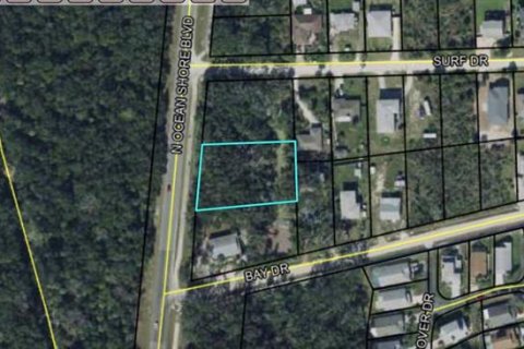 Купить земельный участок в Палм-Кост, Флорида № 293053 - фото 3