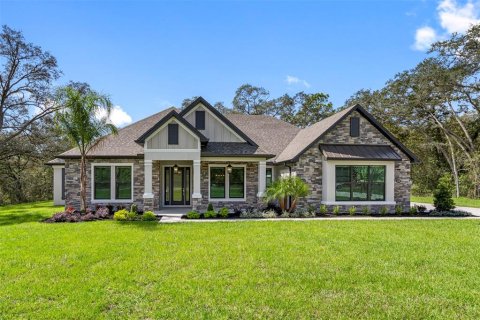 Villa ou maison à vendre à Hudson, Floride: 3 chambres, 278.24 m2 № 1296462 - photo 1