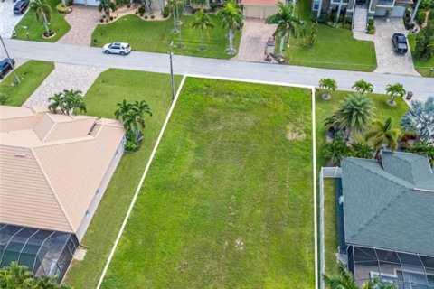 Terreno en venta en Cape Coral, Florida № 1354744 - foto 3