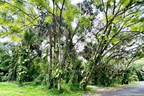 Terreno en venta en LaBelle, Florida № 1209908 - foto 4