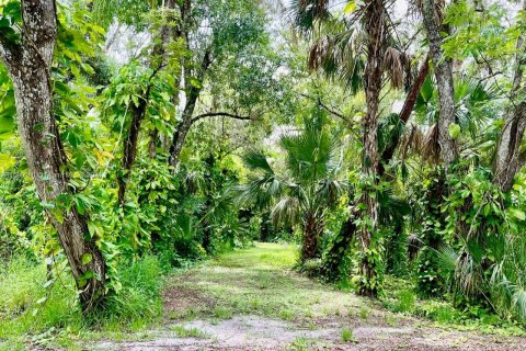 Land in LaBelle, Florida № 1209908 - photo 1