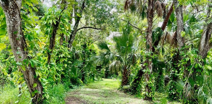 Terreno en LaBelle, Florida № 1209908