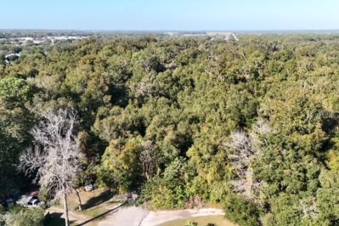 Terrain à vendre à Ocala, Floride № 1426382 - photo 3