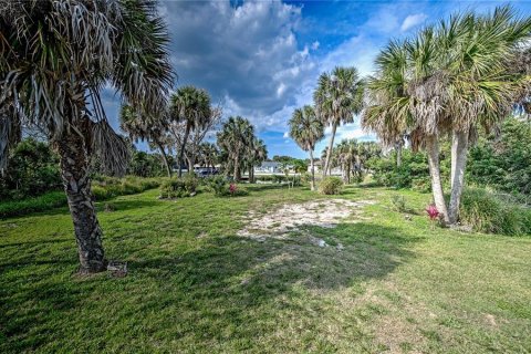 Land in Port Charlotte, Florida № 1089907 - photo 13