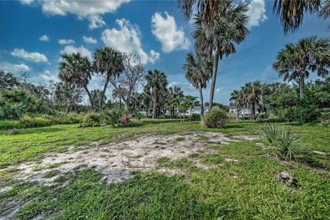 Land in Port Charlotte, Florida № 1089907 - photo 8