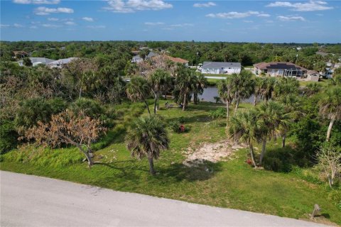 Land in Port Charlotte, Florida № 1089907 - photo 1