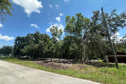 Terreno en venta en Land O' Lakes, Florida № 1314083 - foto 5