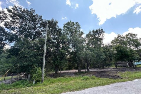 Terreno en venta en Land O' Lakes, Florida № 1314083 - foto 2