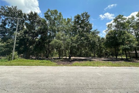 Terreno en venta en Land O' Lakes, Florida № 1314083 - foto 1