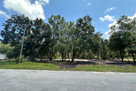 Terreno en venta en Land O' Lakes, Florida № 1314083 - foto 4