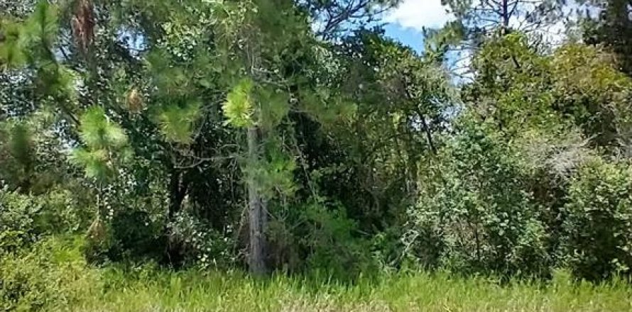 Land in Kissimmee, Florida № 1298675