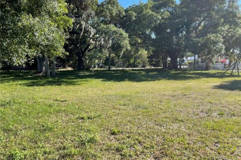 Terrain à vendre à Okeechobee, Floride № 1111025 - photo 3