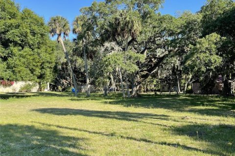 Land in Okeechobee, Florida № 1111025 - photo 5