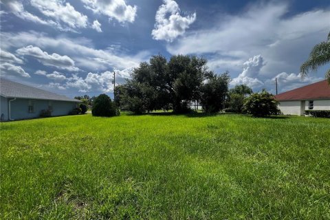 Land in Port Charlotte, Florida № 1304402 - photo 2