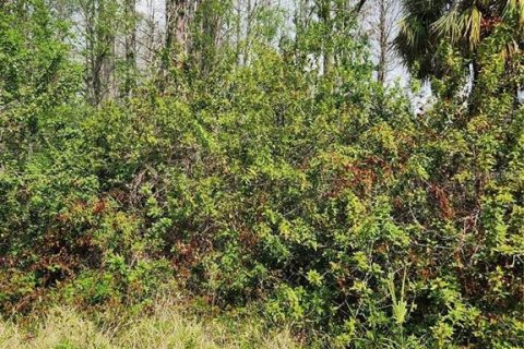 Terreno en venta en Hudson, Florida № 1113858 - foto 1