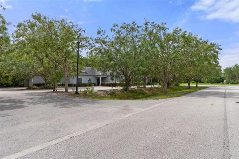 Commercial property in New Port Richey, Florida 760.96 sq.m. № 1275884 - photo 8