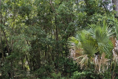 Terreno en venta en Micanopy, Florida № 1248354 - foto 1