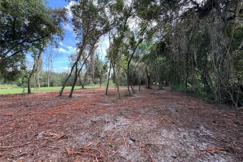 Terrain à vendre à Leesburg, Floride № 1379754 - photo 8