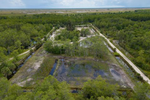 Купить земельный участок в Бойнтон-Бич, Флорида № 579187 - фото 14