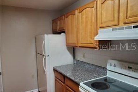 Condo in Tampa, Florida, 1 bedroom  № 1389363 - photo 4