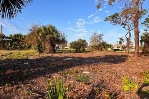 Terreno en venta en Rotonda, Florida № 1424372 - foto 1